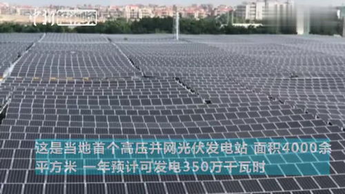 福建石狮首个分布式光伏发电项目 万余太阳能电池板如 黑浪